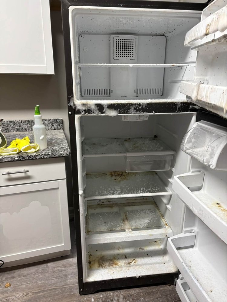 Refrigerator interior before cleaning